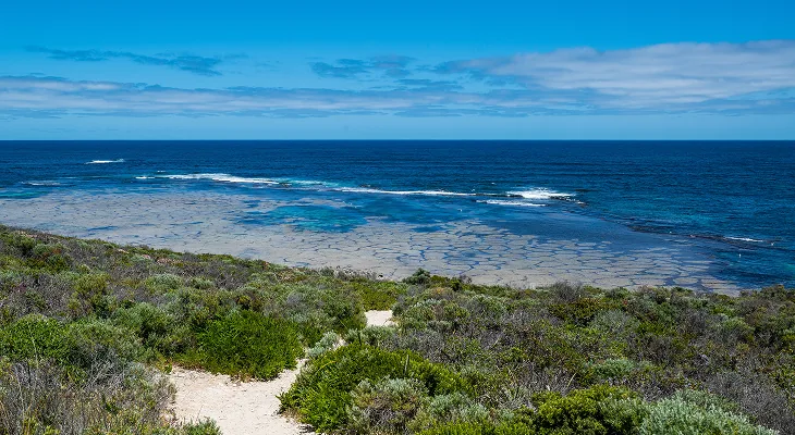 NDIS plan management services in Great Southern WA